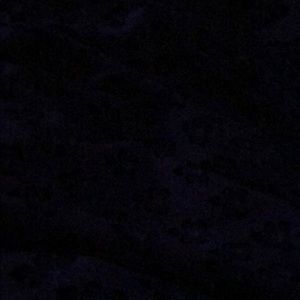 Meet your Posher, Jacqueline